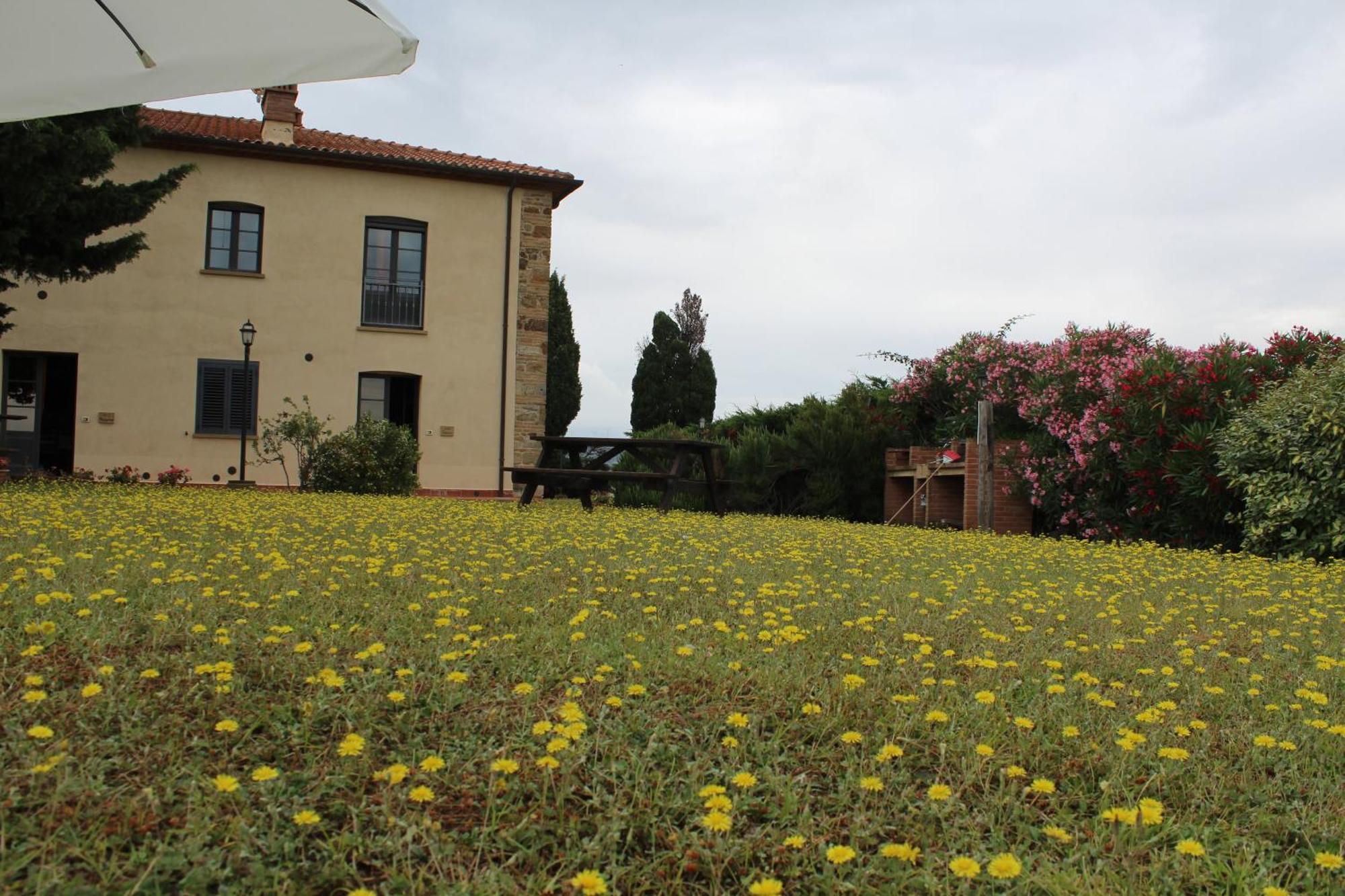 Casale Poggio Meone Santa Luce Exterior foto